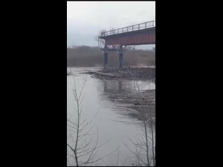 В селе Темляково смыло деревянный мост и несёт течением к Кургану. Это создает риск затора. МЧС поставлена задача вытащить эти к