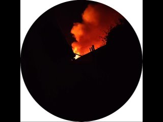 Крупный пожар охватил Тропик парк в Евпатории, где содержались боле 200 видов животных