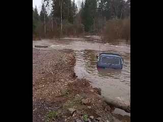 Бобры устроили наводнение в Катав-Ивановском районе