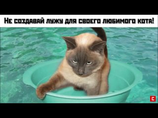 Не знаешь как закрыть большой зазор Присмотрись к акриловому плинтусу! | До-После монтажа | СУПЕРПЛИНТУС.РФ