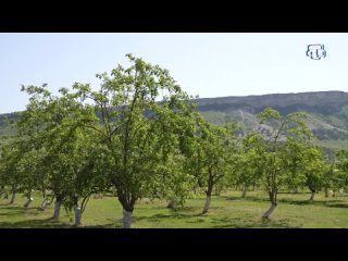 Левха «Джанлы къаялар». Выпуск от