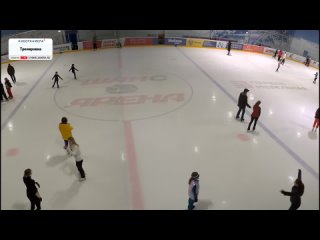 [ШАНС Арена]  13:15 Свободное массовое катание. Свободное катание на коньках для взрослых и детей СПб