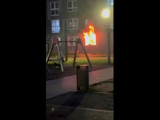 Специфическая обстановка (видео)