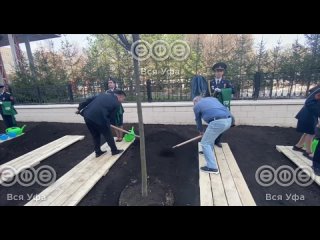 Ратмир Мавлиев и Константин Толкачёв посадили деревья