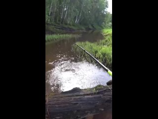 Video by Замечен на рыбалке