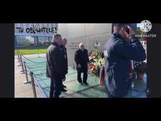 Видео Желтые Сливы