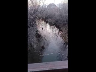 Видео от Шадринск для тебя