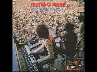 Mungo Jerry - Electronically Tested ©