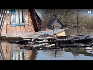 Начнём утро с трогательногоЯмальские спасатели прод