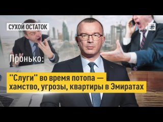 Пронько: “Слуги“ во время потопа — хамство, угрозы, квартиры в Эмиратах