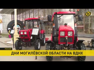 В Москве на ВДНХ проходят дни Могилевской области