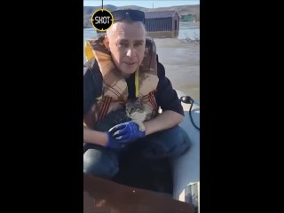 “Кошку спас, крышу разворотил — сидела уже под углом“

Очень трогательное видео из Оренбургской области.