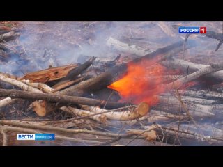 Пожароопасный сезон в Липецке: горит трава и погибают люди