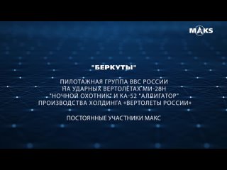 Пилотажная группа Российских ВКС «Беркуты»