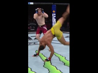 Боец капоэйры в UFC