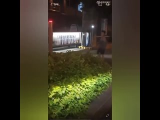 Видео от Котята в Китае