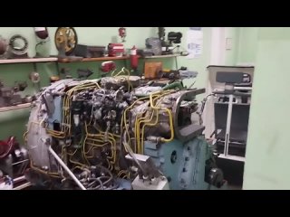Видео от Школа №19 Василеостровского района