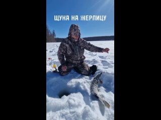 Видео от Остров Тайменный | Рыбалка и отдых в Якутии