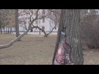 Видео от ГАУСО СО “КЦСОН Артемовского района“