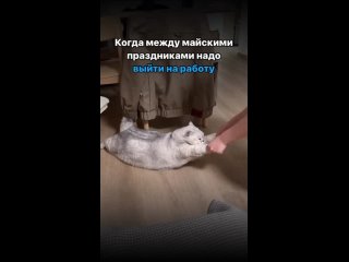Video by САЛАВАТСКИЙ ДАЧНИК,ФЕРМЕРЫ,СЕЛЬХОЗ ЯРМАРКА!
