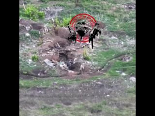 В соцсетях завирусилось видео, на котором военный уничтожает БПЛА противника с помощью мешка с картошкой.