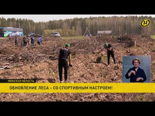 Представители НОК и именитые белорусские спортсмены приняли участие в высадке леса на Минщине