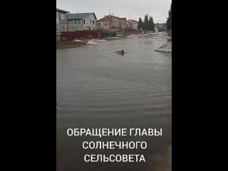 В Алтайском крае глава сельсовета Солнечное на камеру переплыл огромную лужу, чтобы привлечь внимание к проблеме паводка