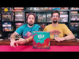 Kelp: Shark vs Octopus 2024 | Kelp Board Game Review - First Impression - Kickstarter - Wonderbow Games Перевод