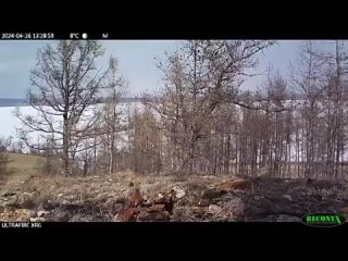 Видео от Красноярск ВКурсе - новости и события города