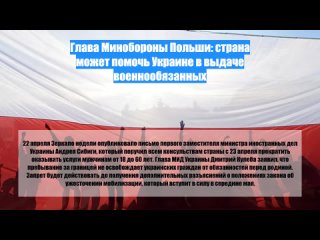 Глава Минобороны Польши: страна может помочь Украине в выдаче военнообязанных