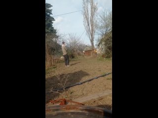 Видео от Спил, обрезка деревьев Снежное/Торез/Красный Луч