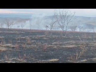 Огромный степной пожар произошел накануне вечером в окрестностях деревни Быстрая в Минусинском районе