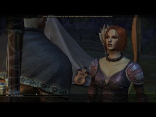 Dragon Age Origins - (2)010