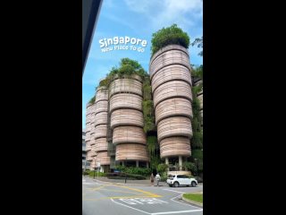 Сингапур 🇸🇬