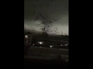 Cinco personas murieron y 33 resultaron heridas debido a un tornado en la ciudad de Guangzhou, en el sur de China, informa la te