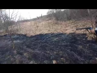 В селе Алексино Ивановской области едва не сгорели жилые дома от пала травы
