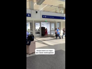 Мопсик и хорошее настроение: россияне назвали самые необычные вещи, без которых не представляют свое путешествие.... (видео)