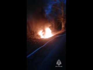 Вчера вечером сотрудники МЧС России тушили горящий автомобиль в Зеленоградском городском округе.