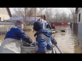 В затопленных районах Оренбурга спасают домашних животных