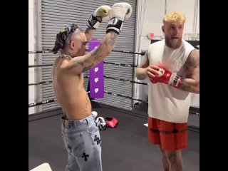 Джейк Пол пробил в печень Lil Pump’у [NR]