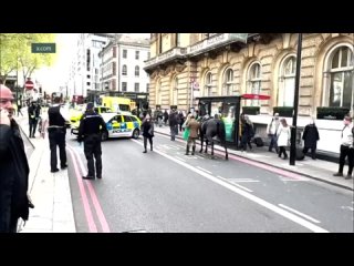 Окровавленные лошади конной королевской гвардии носятся по Лондону — они протаранили пять человек и туристический автобус. Постр