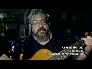 Сергей Нотик - Три птахи (ст. Дмитрий Коломенский)