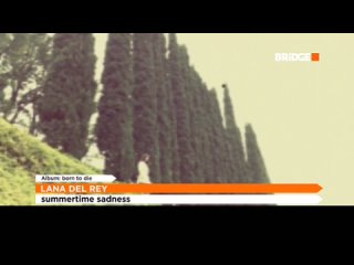 Lana Del Rey - Summertime sadness Bridge (16+)