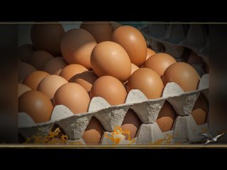 Ученые предупреждают общественность, что употребление яиц может вызвать образование тромбов, инсульты и сердечные приступы