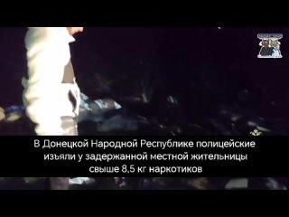 В Донецкой Народной Республике полицейские изъяли у задержанной местной жительницы свыше 8,5 кг наркотиков