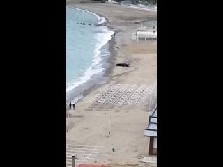 Автомобиль очень любит солевые ванны - Илья Зайцев