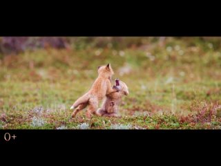 Видео от Кинозал Юбилейный Тацинского района