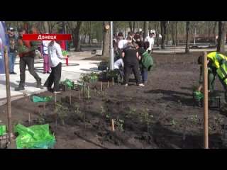 К десятой годовщине провозглашения ДНР в Донецке высадили 400 кустарников роз