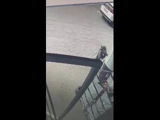 🤔 Мать-кукушка рассказала подробности о скитаниях до того, как бросила дочь в Краснодаре.  Полиция Краснодара... (видео)