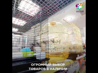 Магазин в Сызрани